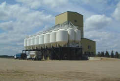 seed plant picture